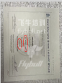 学业展廊图片 26